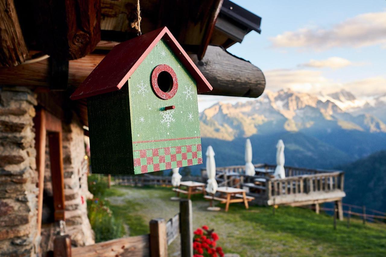 Villa Nestalp Malga Campo à Peio Extérieur photo