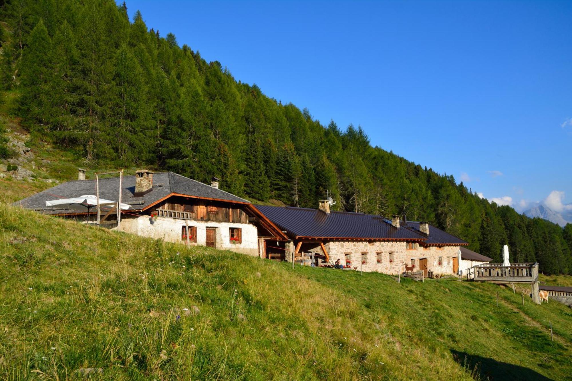 Villa Nestalp Malga Campo à Peio Extérieur photo